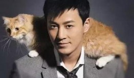 林峰近期爆料新闻视频下载,娱乐圈幕后真相大曝光